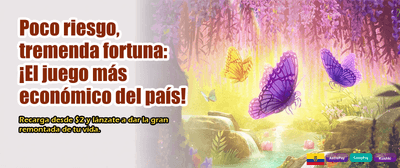 Experiencia real, premios reales
