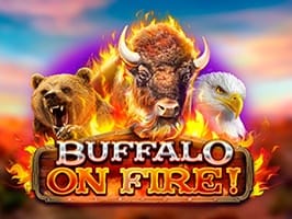 Buffalo On Fire screenshot